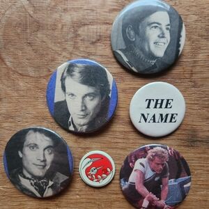 Vintage Button Pin Collection